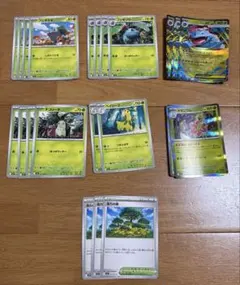 ポケモンカードゲーム メガフシギバナex メガニウム　進化ライン