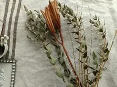 Item thumbnail for item a4d9d99e-83e7-400b-baa0-3a1b9c1a6288