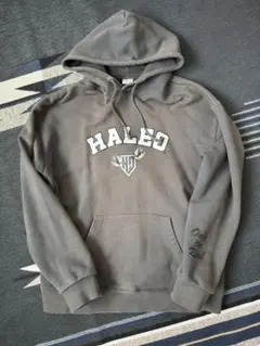 2026年最新】HALEO タイプ：プルオーバー メンズ パーカーの人気 