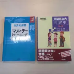 世界史 参考書 2冊セット マルチトレーニング 関関同立大