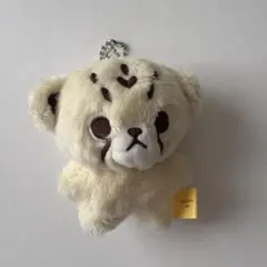 2025年最新】チーターリー nctの人気アイテム - メルカリ