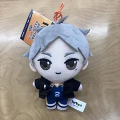 2025年最新】菅原孝支ぬいぐるみの人気アイテム - メルカリ