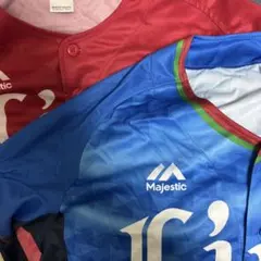 埼玉西武ライオンズ 応援グッズ