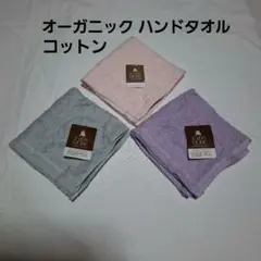 Item thumbnail for item 791d429d-07cc-4c9a-bc4d-37044ba76a8c