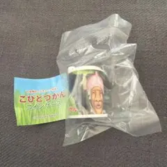 【新品】こびとづかん　コインケース　 シボリオオチチ