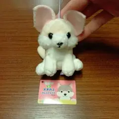 【新品】もふっとオオカミ みんなともだち ぬいぐるみ マスコット フェネク