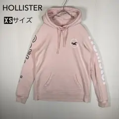 HOLLISTER プルオーバーパーカー バックプリント アームロゴ XSサイズ