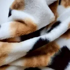 2025年最新】三毛猫ファーの人気アイテム - メルカリ