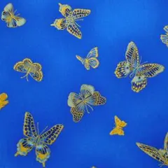 Item thumbnail for item 23244ff2-ecde-46ea-8438-1ecaf63bd507