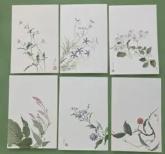 Item thumbnail for item f86c974a-3127-48af-8fe2-61eee4983833