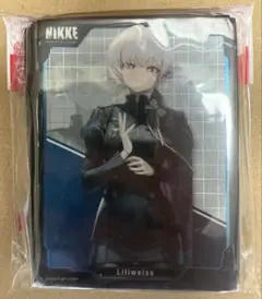 Item thumbnail for item 85c276e7-4e93-472e-8295-60b7ce4f870b