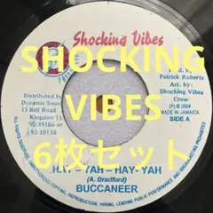 Shocking Vibesレーベル90'S ダンスホールレゲエ6枚セット！