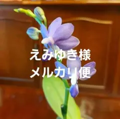 えみゆき様専用のサムネイル