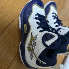 Mizuno Rookie バスケットボールシューズのサムネイル