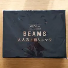 オトナミューズ　付録　BEAMS　大人の上質リュック