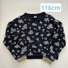 Item thumbnail for item 76d1c228-cc48-48f4-a011-a8d6a2bb5700