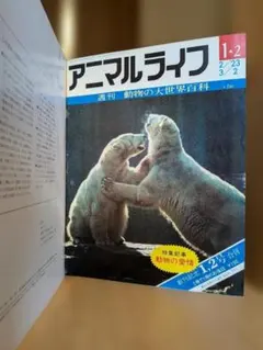 2026年最新】世界動物百科の人気アイテム - メルカリ