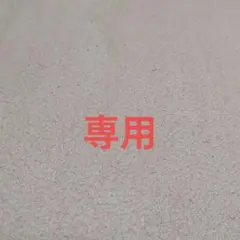 Rakutao公式アカウント01様専用