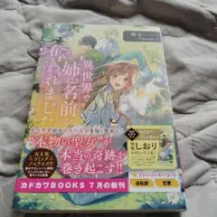異世界で姉に名前を奪われました