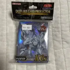 究極竜魔導師