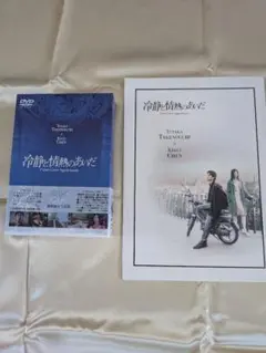 冷静と情熱のあいだ DVD 特別ディスク付き&パンフレット