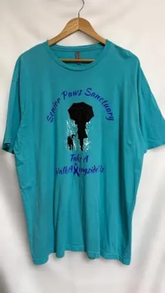 GILDAN ギルダン プリントTシャツ ターコイズブルー 2XL T-3