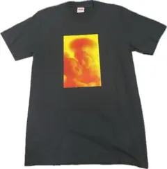シュプリーム アンドレス・セラーノ マリア Tシャツ