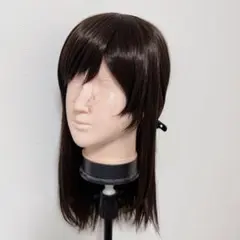 ぷらまいぷらまい様専用ウィッグオーダー確認ページ