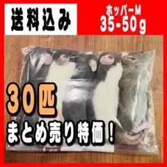 冷凍ラット アダルトLL (240~280g) 20匹 まとめ売り - メルカリ