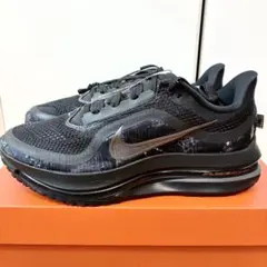 Nike Pegasus Premium CM 27cm ほぼ未使用箱付き - メルカリ