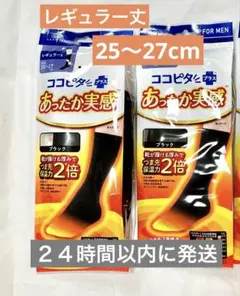 Item thumbnail for item fb259f10-1d5e-41ff-83a3-9433b937bf79