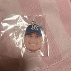 キハダ 東京ヤクルトスワローズ 目印チャーム
