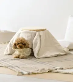 スリーコインズ3COINS  こたつ ペット 犬 猫