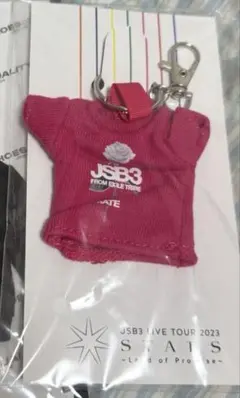 ・【会場限定】ECHOES OF DUALITY パーカーキーホルダー 三代目JSB 登坂広臣 OMI 会場限定 パーカーキーホルダー ECHOES