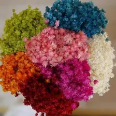 まちさく様　専用ページ