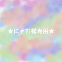 ★にゃむ様専用★