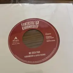 2025年最新】karamushi レコードの人気アイテム - メルカリ