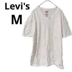 Item thumbnail for item 95c8bfd3-473e-4791-8c7e-5af9654c6848