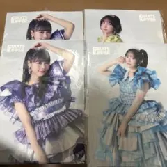 FRUITS ZIPPER クリアファイルセット