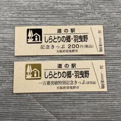 道の駅特別記念きっぷ（非売品）他/山梨県 - メルカリ