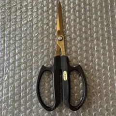 Item thumbnail for item 2504d34c-59e1-4014-8fb0-6bde13e78dd8