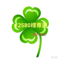 ⭐︎2580様専用　 玉ねぎ Ｍサイズ　20kg