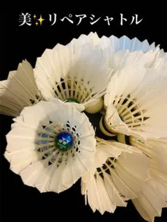 Item thumbnail for item 9b5da16f-99d1-4ca1-a5b0-7421190c764f