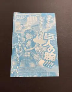 2011年製】Vジャンプ付録 モンキー・D・ルフィ ワンピーベリーマッチ