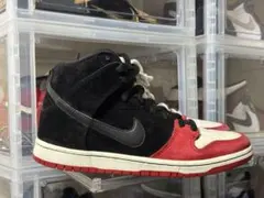 NIKE DUNK SB High Uprise ナイキ　313171 061