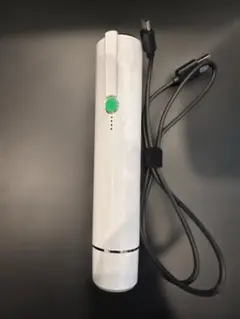 真空パック機 真空ポンプ 真空パック器 家庭用真空パック器 真空保存容器