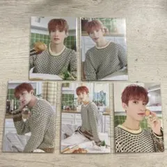 SEVENTEEN セブチ ドギョム HOME 2023 トレカ まとめ売り