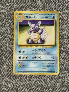 旧裏　カメール ◆ 第1弾拡張パック