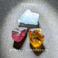 IMPRESSE シルバー 925 キュービックジルコニア トカゲ リザード