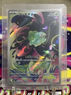 値下げ　フシギダネ AR